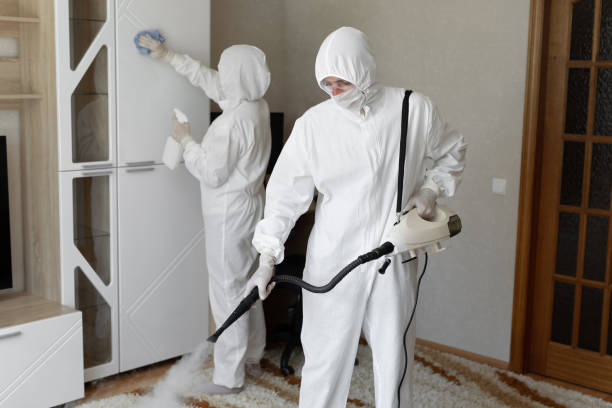Forest Heights, TX Mold Remediation Company