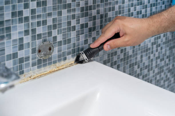  Forest Heights, TX Mold Removal Pros